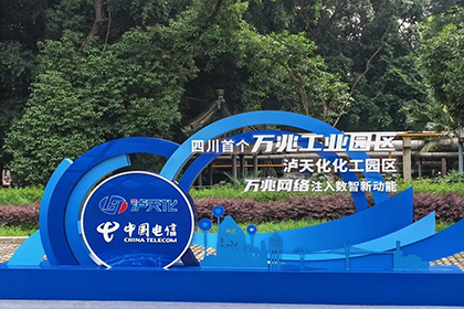 泸天化首个万兆示范区.jpg