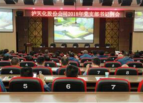 泸天化党委召开支部书记例会部署“大学习 大调研 大落实”活动