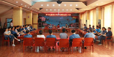 泸天化股份公司羽毛球队正式成立