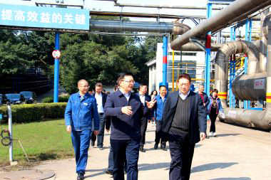 泸州市委副书记市长杨林兴率队到泸天化调研