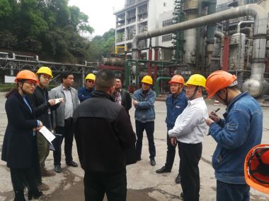 四川省应急管理厅督查公司危险化学品专项整治工作