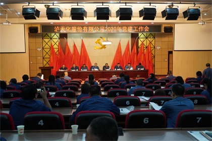 泸天化股份公司召开2020年党建工作会