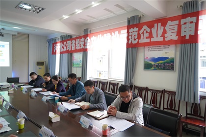 泸天化股份公司通过“省级安全文化建设示范企业”复审验收现场审核