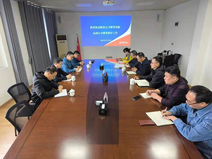 泸天化股份公司纪委书记陈伟带队到弘润公司开展专项督导检查