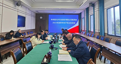 泸天化股份公司党委召开2024年度领导班子民主生活会