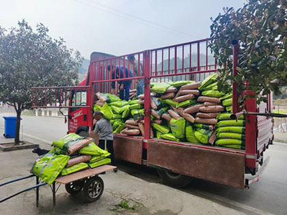 泸天化股份公司“暖心肥”浇灌致富新希望